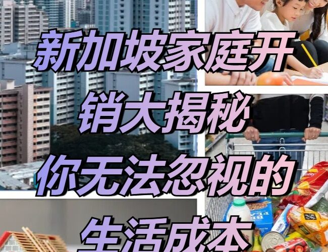 新加坡家庭开销大揭秘~你无法忽视的生活成本！